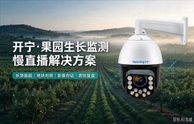 开宁果园生长监测慢直播解决方案